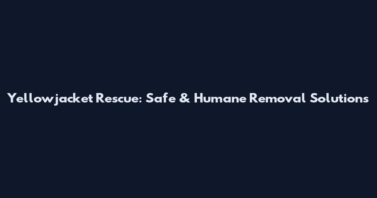 Yellowjacket Rescue: Safe & Humane Removal Solutions