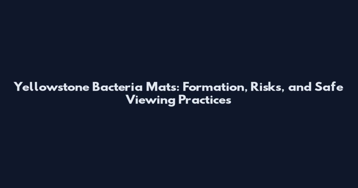 Yellowstone Bacteria Mats: Formation, Risks, and Safe Viewing Practices