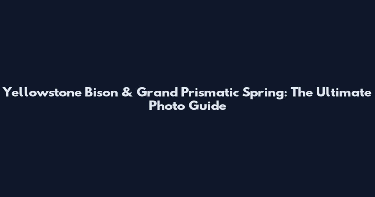 Yellowstone Bison & Grand Prismatic Spring: The Ultimate Photo Guide