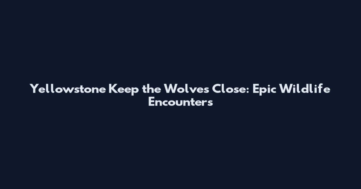 Yellowstone Keep the Wolves Close: Epic Wildlife Encounters