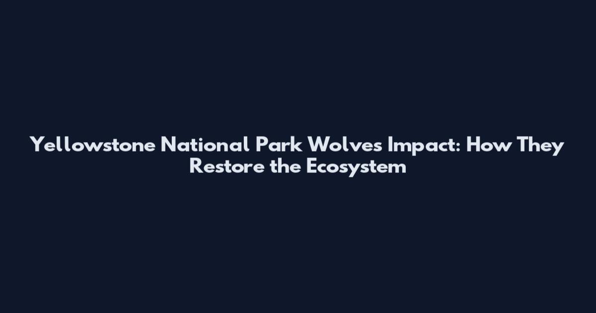 Yellowstone National Park Wolves Impact: How They Restore the Ecosystem