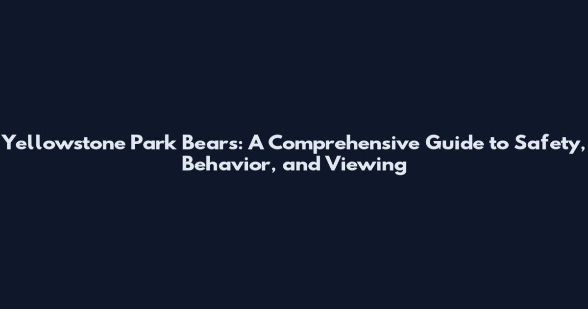 Yellowstone Park Bears: A Comprehensive Guide to Safety, Behavior, and Viewing