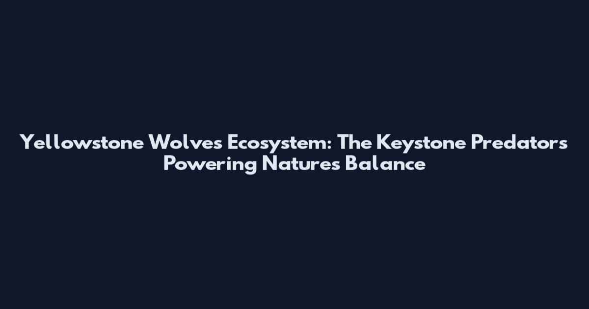 Yellowstone Wolves Ecosystem: The Keystone Predators Powering Nature's Balance