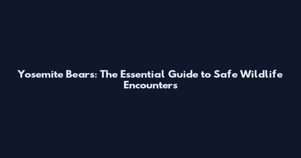 Yosemite Bears: The Essential Guide to Safe Wildlife Encounters