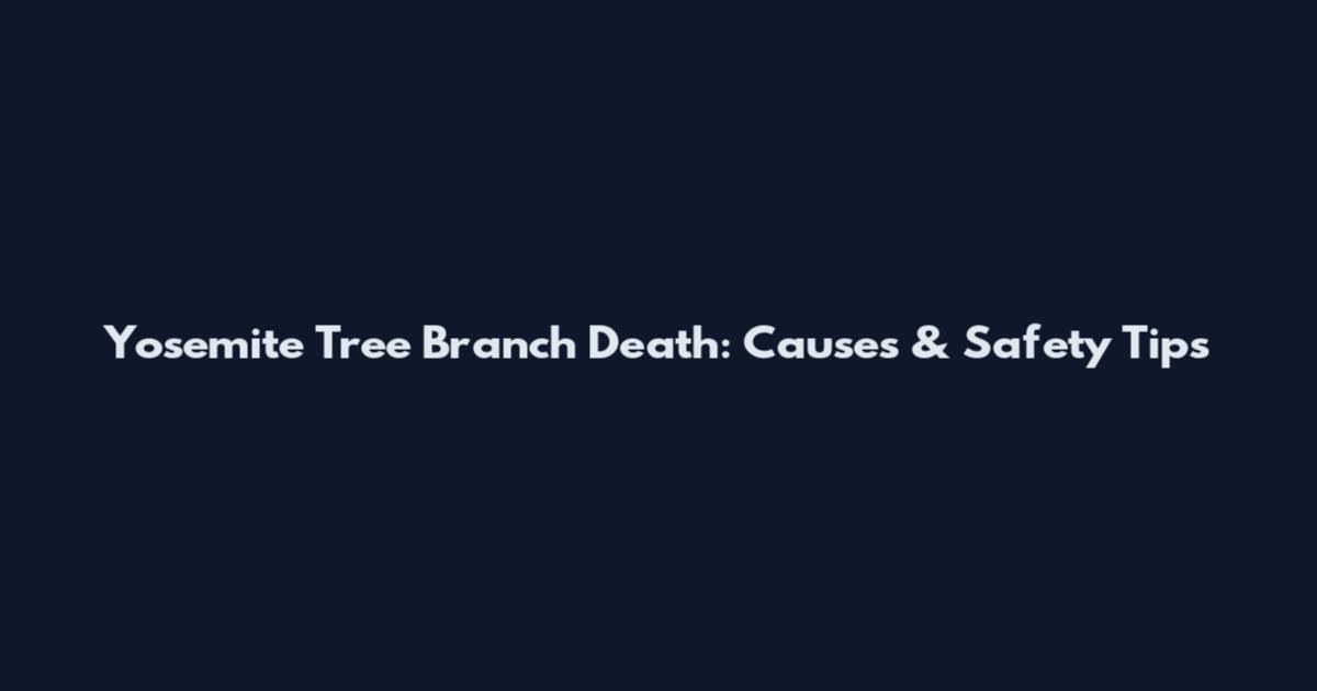 Yosemite Tree Branch Death: Causes & Safety Tips