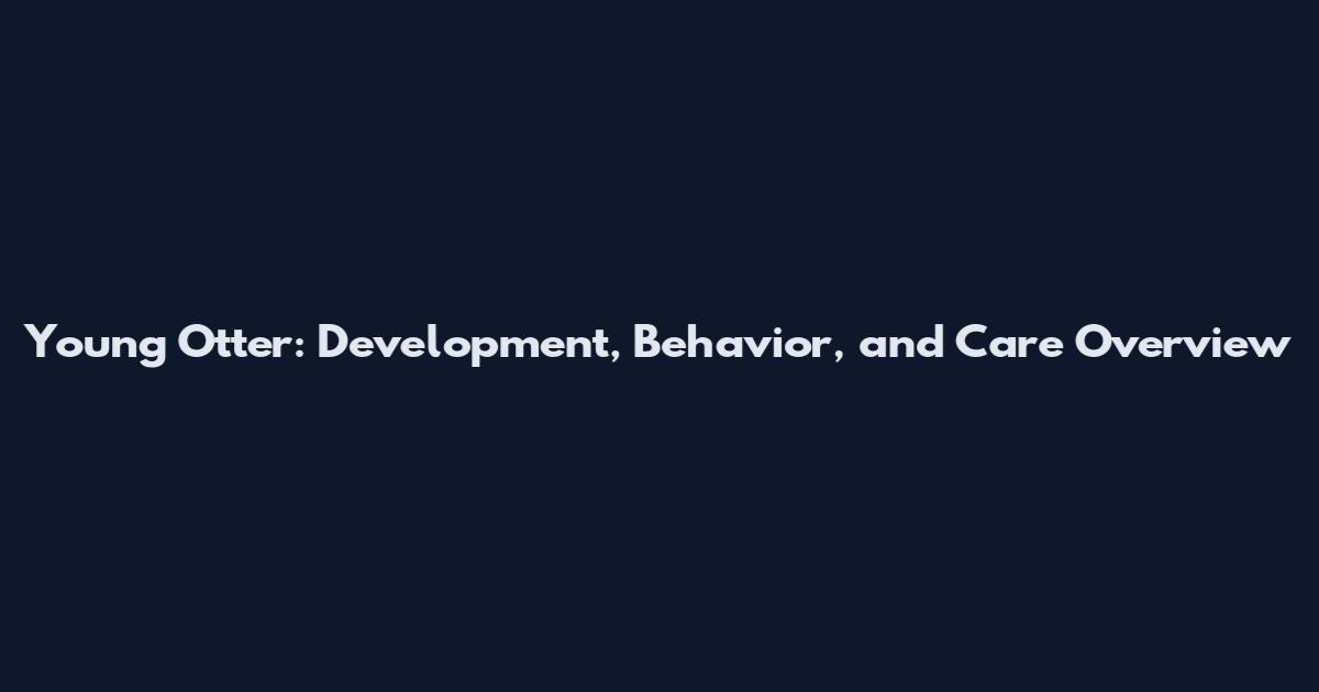 Young Otter: Development, Behavior, and Care Overview
