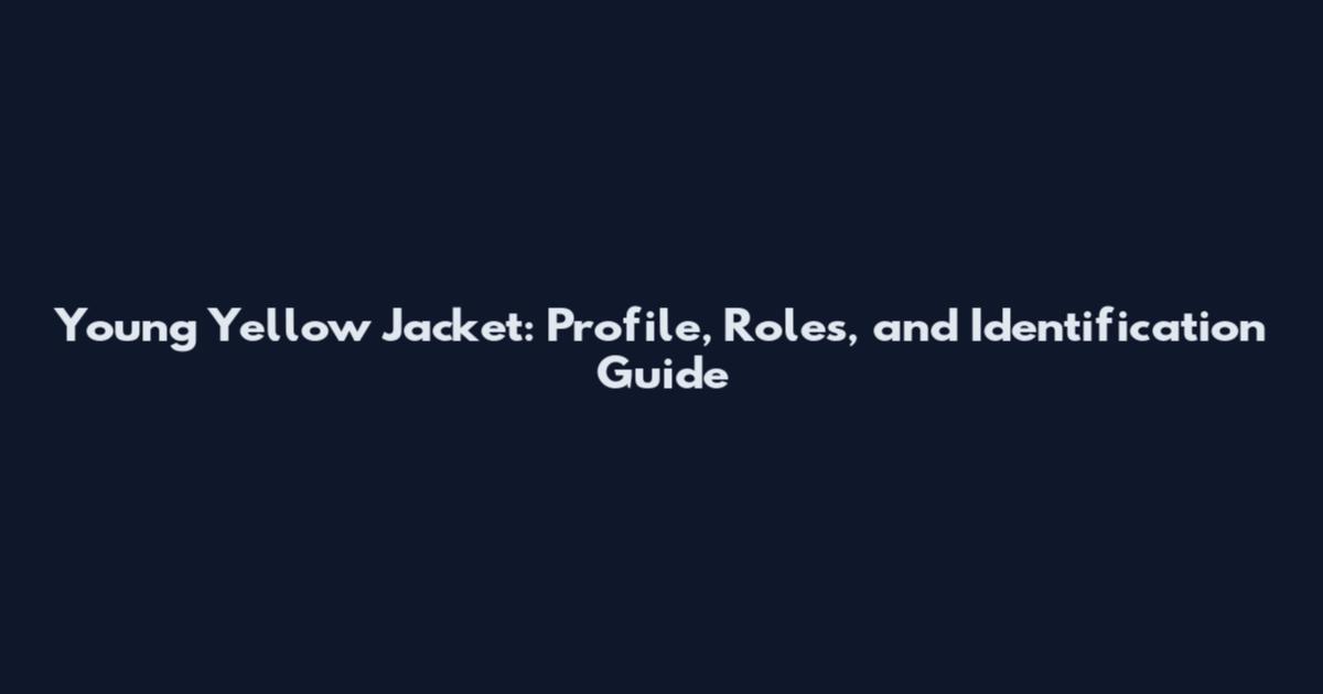 Young Yellow Jacket: Profile, Roles, and Identification Guide