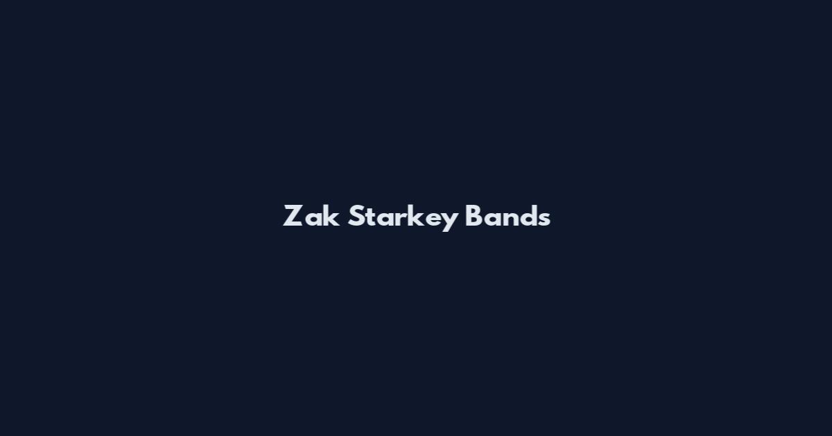 Zak Starkey Bands