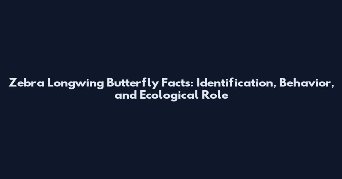 Zebra Longwing Butterfly Facts: Identification, Behavior, and Ecological Role