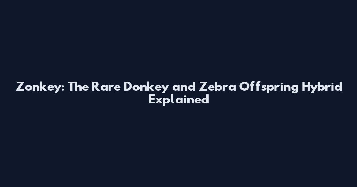 Zonkey: The Rare Donkey and Zebra Offspring Hybrid Explained