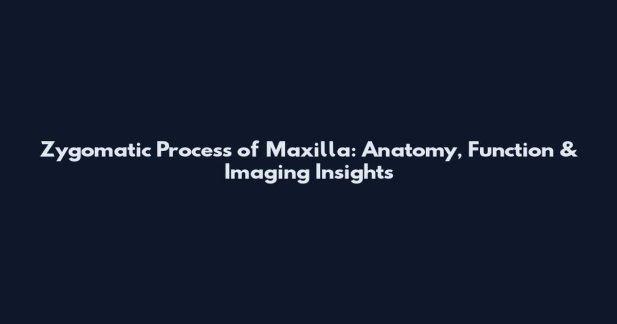 Zygomatic Process of Maxilla: Anatomy, Function & Imaging Insights