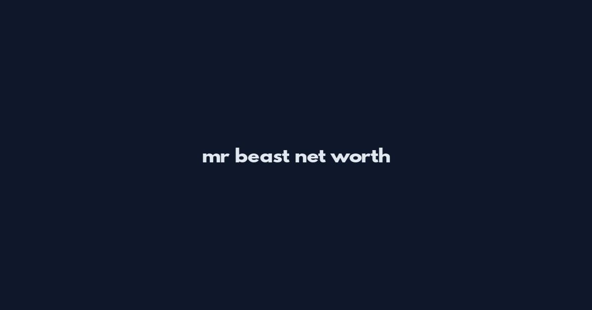 mr beast net worth